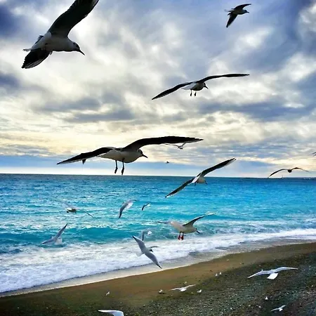 Apartman Heart Of The Old - *