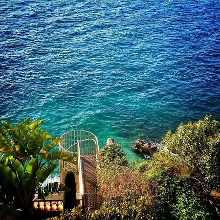 Heart Of The Old - Nizza